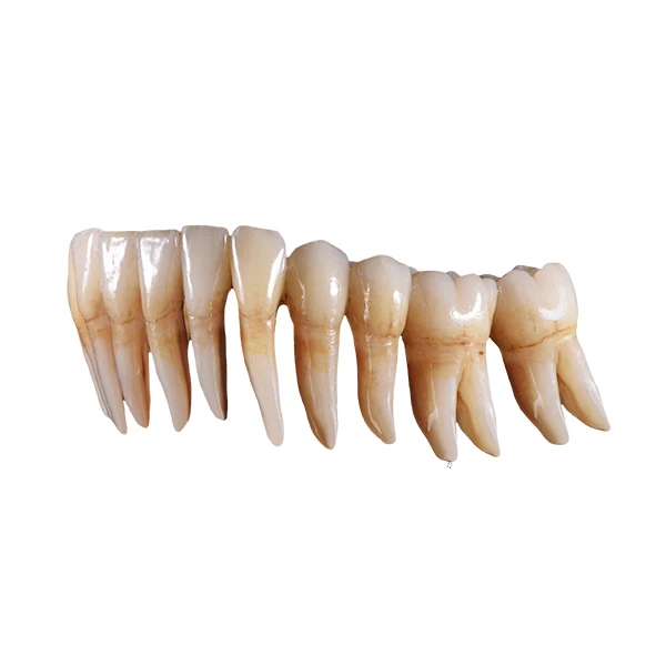 product-600-600